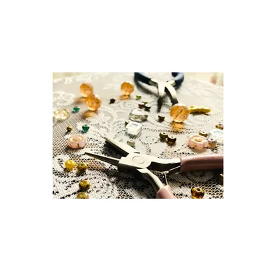 ჩემი ჰობი