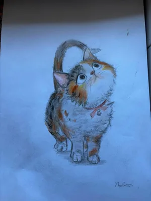 Nini