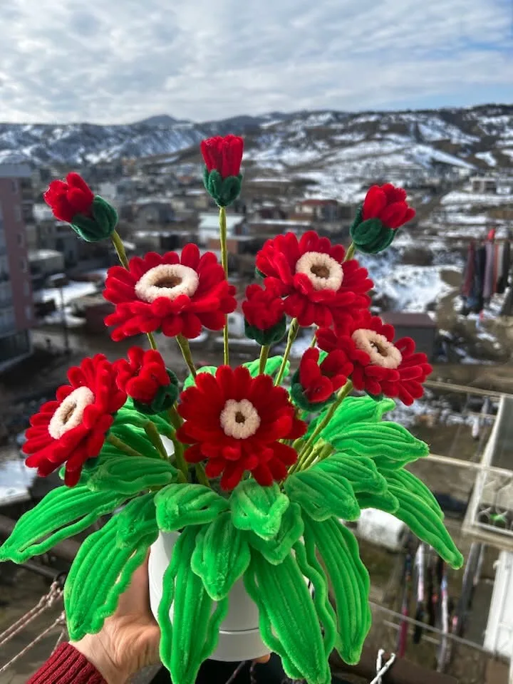 წითელი გერბერები