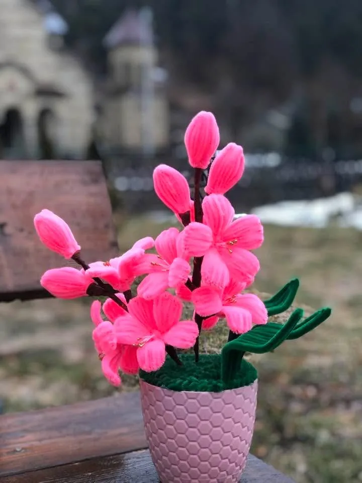 გაზაფხულის ყვავილები