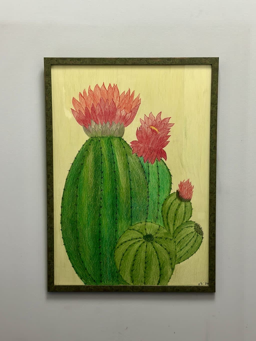 კაკტუსის ყვავილობა