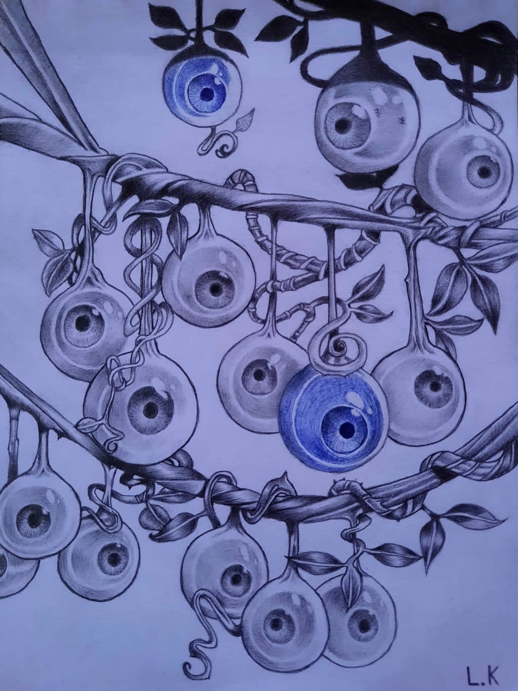 "ხედვის ნაყოფი"