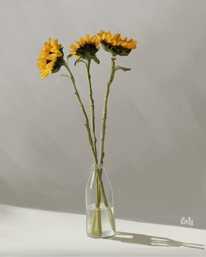 მზესუმზირა