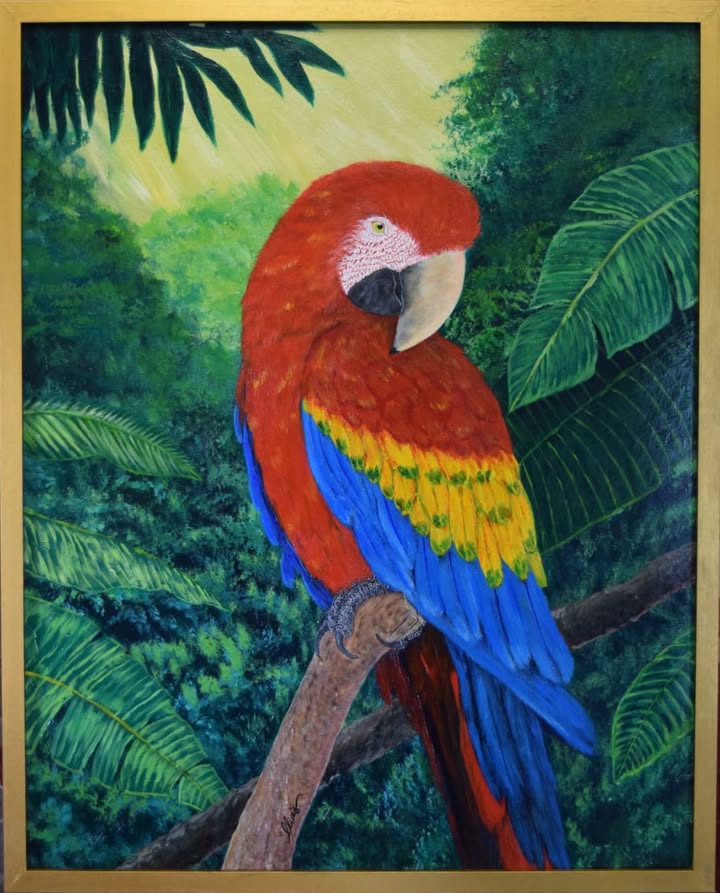 მაკაუ 2026